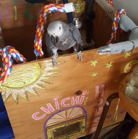 Meet your Posher, Wendy julissa - Picture 3 of 7